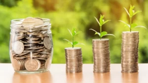 Más allá del ROI: creando valor a largo plazo a través de un ERP
